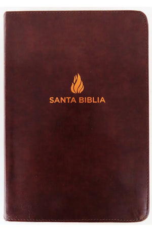 Biblia RVR 1960 Letra Grande Tamaño Manual Marrón Piel Fabricada con Índice