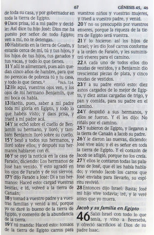 Image of Biblia RVR 1960 Letra Grande Tamaño Manual Maxiconcordancia Negro Piel