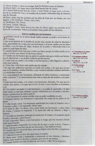 Image of Biblia RVR 1960 de Estudio Thompson Marrón Duo