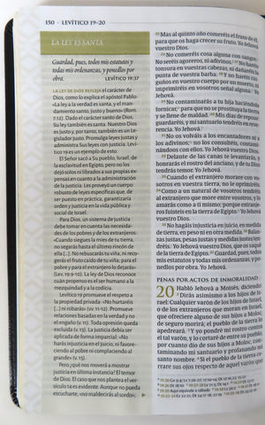 Image of Biblia RVR 1960 de Estudio Temática Miguel Nuñez Piel Genuina Negro