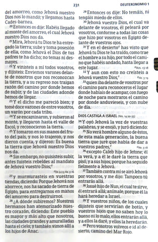 Image of Biblia RVR 1960 Letra Gigante Floral Símil Piel Con Índice