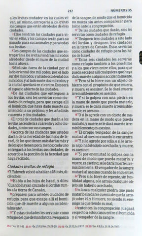 Image of Biblia Peshitta Símil Piel Caoba Duotono con Índice