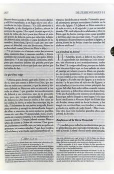 Image of Biblia RVR 1960 de Estudio Explicada Marrón