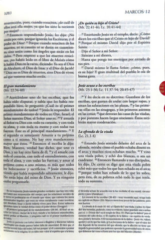Image of Biblia RVR 1960 de Estudio Explicada Negro