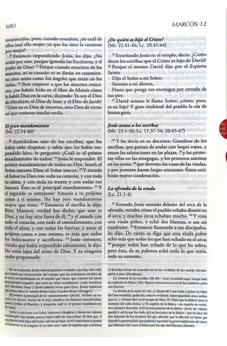 Image of Biblia RVR 1960 de Estudio Explicada Marrón