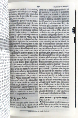 Image of Biblia RVR 1960 de Promesas Tamaño Manual Negro Imitación Piel con Índice y Cierre