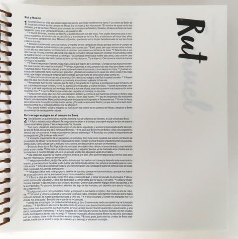 Image of Biblia RVR 1960 para Ilustrar Verde Símil Piel