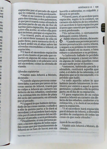Image of Biblia RVR 1960 Tamaño Manual Símil Piel Borgoña con Índice