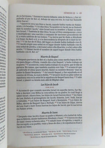 Image of Biblia RVR 1960 Deluxe Piel Genuina Caramelo