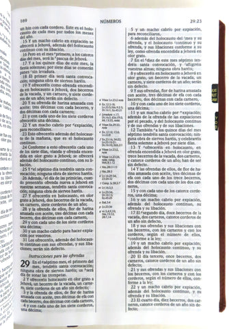 Image of Biblia RVR 1960 de Estudio Scofield Verde Bosque Café Símil Piel con Índice