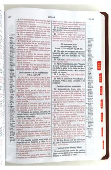 Image of Biblia RVR 1960 de Estudio Scofield Verde Bosque Café Símil Piel con Índice