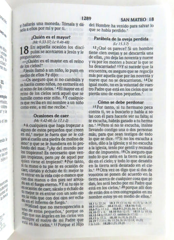 Image of Biblia RVR 2020 Compacta Azul y Blanco Rústica