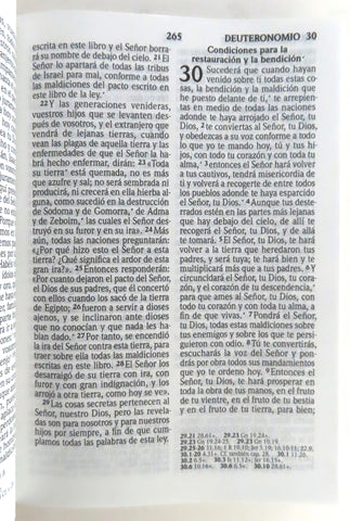 Image of Biblia RVR 2020 Compacta Cuadros Azules Tapa Dura