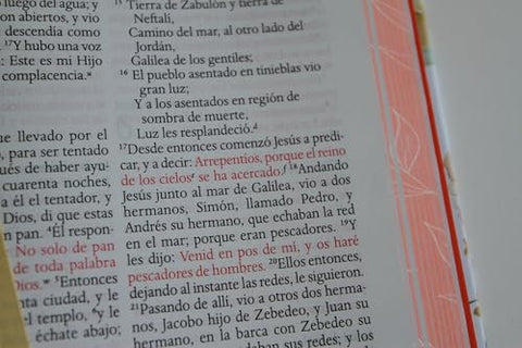 Image of Biblia RVR 1960 Letra Grande Tamaño Manual Flores Rosadas Tapa Dura