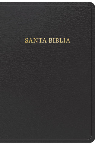 Image of Biblia RVR 1960 Tamaño Manual Símil Piel Negra con Índice