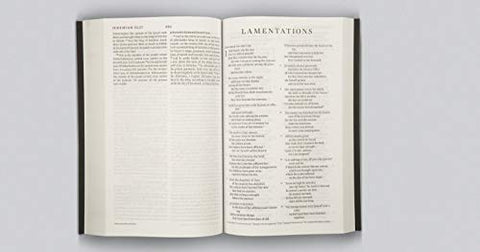 Image of ESV THINLINE BIBLE (TRUTONE BROWN/CORDOVAN, PORTFOLIO)
