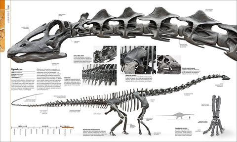 Image of Dinosaurios y la Vida en la Prehistoria