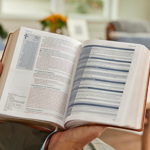Image of NKJV LIFE IN CHRIST BIBLE: DISCOVERING, BELIEVING, AND REJOICING IN WHO GOD SAYS YOU ARE (NKJV, HARDCOVER, RED LETTER, COMFORT PRINT)
