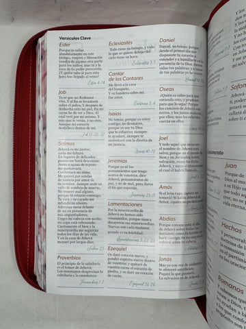 Image of Biblia RVR 1960 Letra Grande Tamaño Manual Rosa Símil Piel con Índice y Cierre