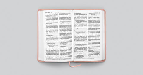 Image of ESV PREMIUM CHURCH BIBLE (TRUTONE, BLUSH ROSE)