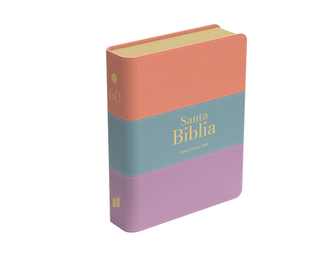 Image of BIBLIA RVR 1960 BOLSILLO SIMIL PIEL TRICOLOR PALO ROSA CELESTE LILA