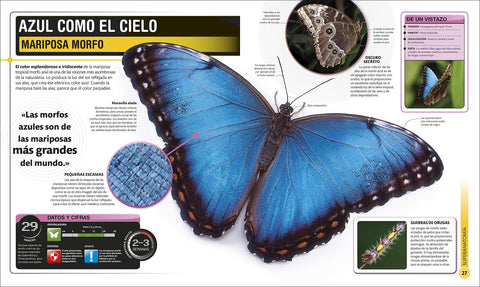 Image of Super Insectos