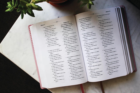 Image of NASB, Clear Focus Bible, Leathersoft, Pink, 1995 Text: Read more of the Bible with better focus using the Bionic Reading Method