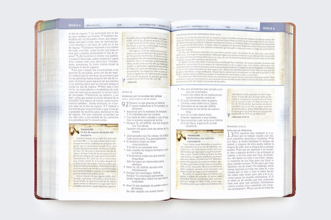 Image of Biblia NBLA Cronológica de Estudio