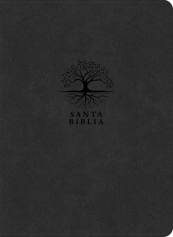 Image of Biblia RVR 1960 de Estudio del Diario Vivir Letra Grande Símil Piel Carbón Letra Roja