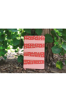 Image of NIV, Adventure Bible, Leathersoft, Coral, Full Color