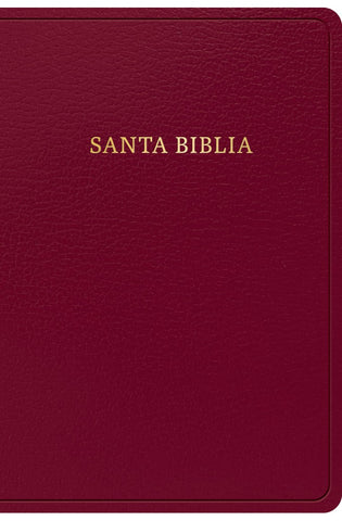 Image of Biblia RVR 1960 Tamaño Manual Símil Piel Borgoña con Índice