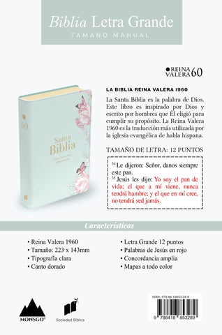 Image of Biblia RVR 1960 Letra Grande Tamaño Manual Símil Piel Salvia Claro
