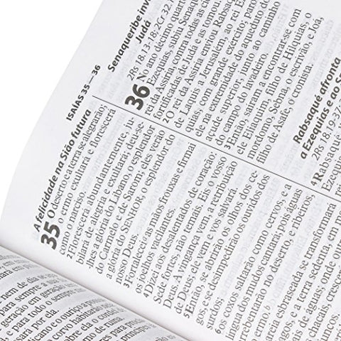 Image of BIBLIA EM PORTUGUES RA065TILG TAPA IMITACION CUERO TRIOTONE AZUL INDICE DIGITAL