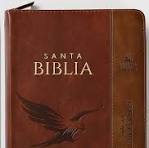 Image of Biblia RVR 1960 Letra Grande Tamaño Manual Floral Mariposas Símil Piel con Índice y Cierre