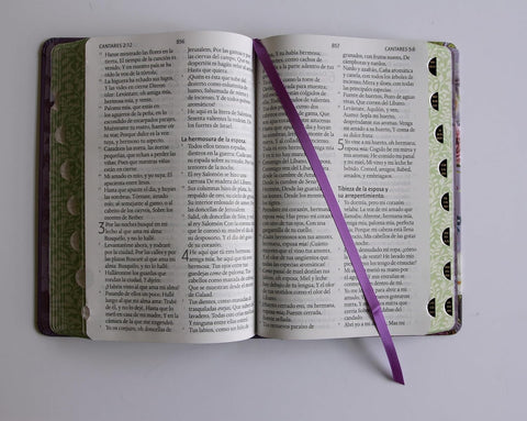 Image of BIBLIA RVR 1960 LETRA GIGANTE TAPA DURA FLORES MORADAS CANTOS PINTADO INDICE
