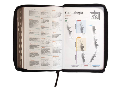 Image of BIBLIA RVR 1960 LETRA GRANDE TAMANO MANUAL SIMIL PIEL DUOTONE CAFE CAFE CON INDICE CON CIERRE