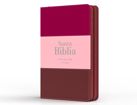 Image of BIBLIA RVR 1960 LETRA GIGANTE 14 PUNTOS SIMIL PIEL TRICOLOR FUCSIA ROSADO ROJO GRANATE CON CIERRE E INDICE