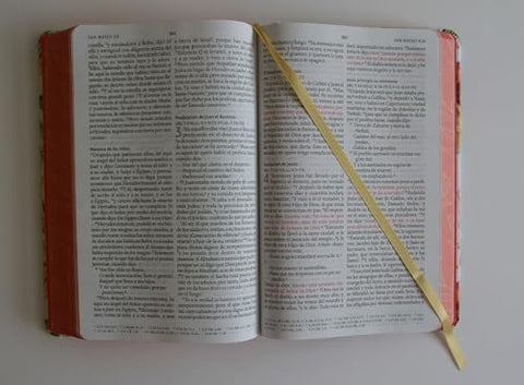 Image of Biblia RVR 1960 Letra Grande Tamaño Manual Flores Rosadas Tapa Dura