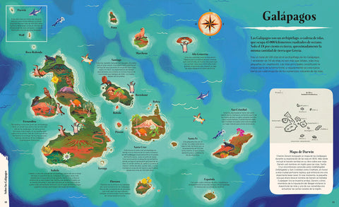 Image of Islas Galápagos