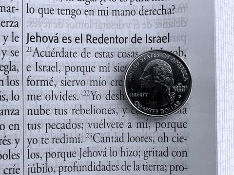 Image of Biblia RVR 1960 Letra Gigante Rosada con Flores Símil Piel