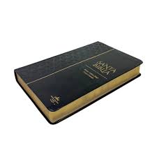 Image of BIBLIA RVR 1960 TAMANO MANUAL LETRA GRANDE 12 PT SIMIL PIEL ROSA AZUL COLECCION BITONO