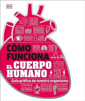 Cómo Funciona el Cuerpo Humano