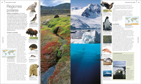 Image of Animal