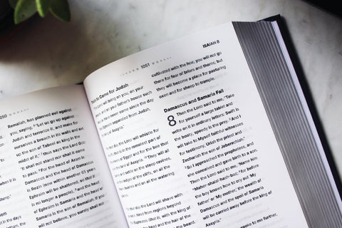 Image of NASB, Clear Focus Bible, Hardcover, Charcoal/Gold, 1995 Text: Read more of the Bible with better focus using the Bionic Reading Method