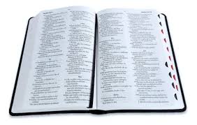 Image of Biblia RVR 1960 Tamaño Manual Letra Grande Colección Supreme Cordero y León Símil Piel