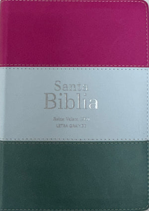 Biblia RVR 1960 Compacta Letra Grande 11 puntos Símil Piel Magenta Verde Glacial Verde Grisaceo con Cierre y Índice