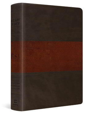 ESV PERSONAL SIZE STUDY BIBLE (TRUTONE, FOREST/TAN)