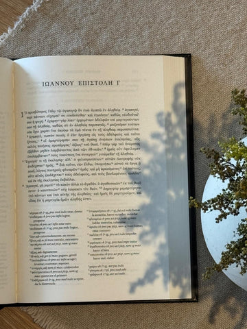 Image of EL NUEVO TESTAMENTO GRIEGO EDICION DEL LECTOR