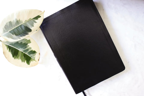 Image of NIV, Quest Study Bible, Large Print, Bonded Leather, Black, Comfort Print: The Only Q and A Study Bible