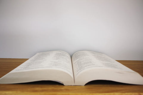 Image of NIV, OUTREACH BIBLE FOR KIDS